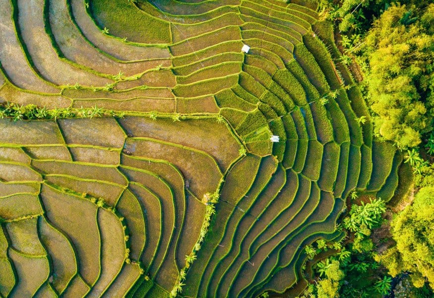 Luxusreisen Indonesien