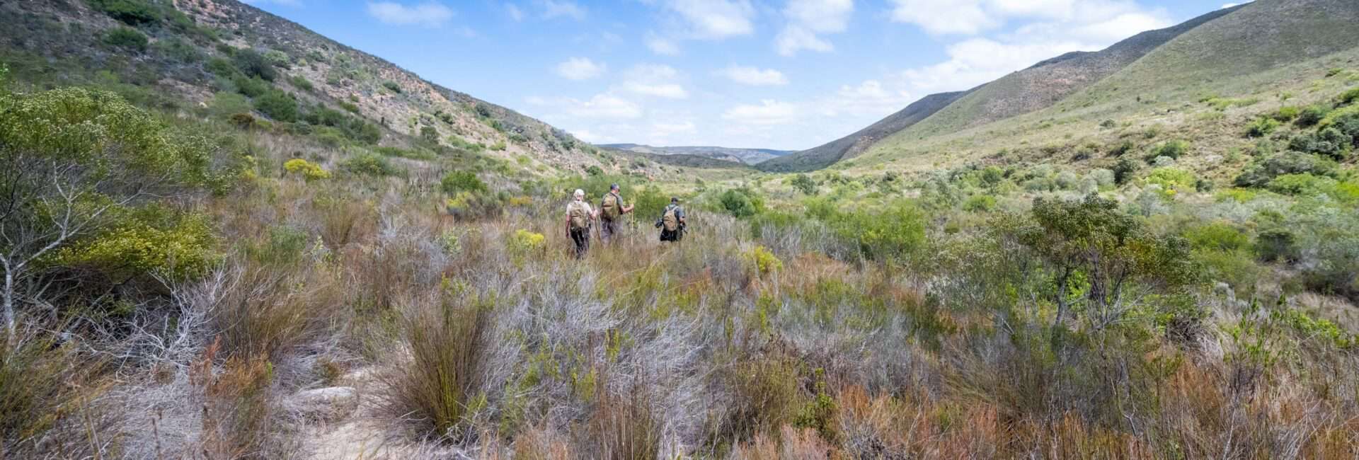 Gondwana Game Reserve - Game Drives