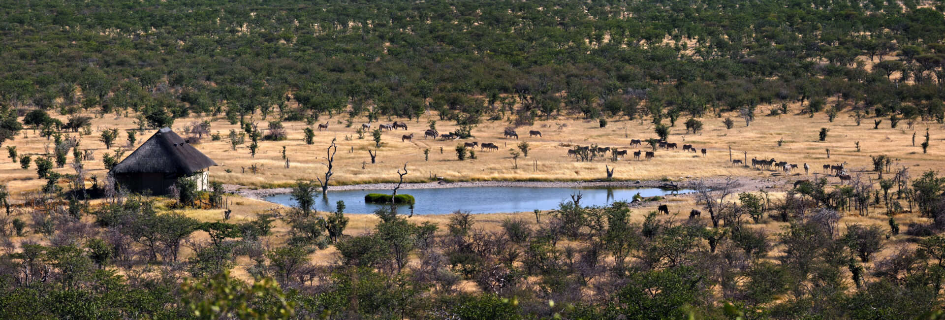 Etosha Heights - Hide and Waterhole