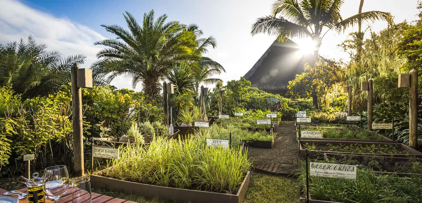 Oberoi_Mauritius_The_Herb_Trail