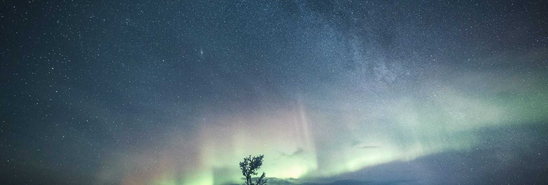 Arctic TreeHouse Hotel